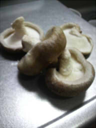 ファイル 305-2.jpg