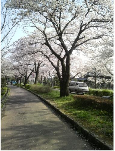 ファイル 442-3.jpg