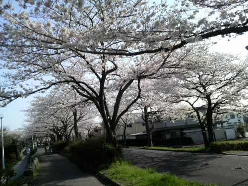 ファイル 442-4.jpg