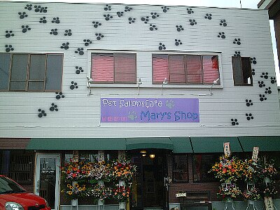 ���X�̊O��