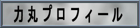 �͊ۃv���t�B�[��